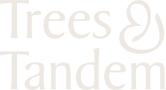 Assetz Trees & Tandem logo